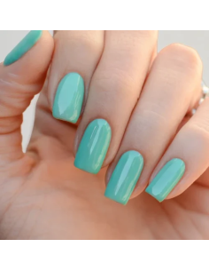 Gel Color - Acqua Alle...