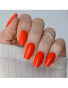 Baby Color - Semipermanente...