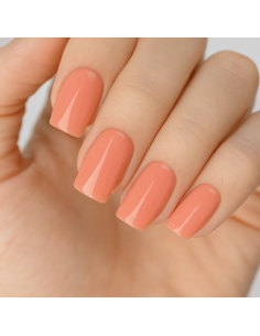 Gel Color - Base Rubber...